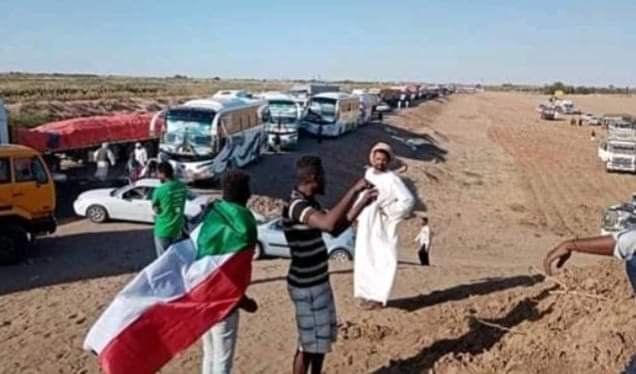 FB IMG 1647068122848