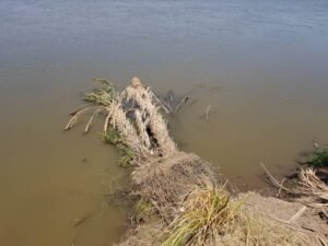 IMG 20220309 WA0004 1