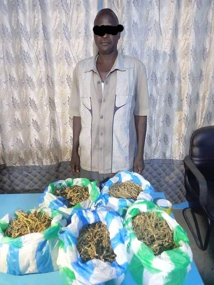 تهريب كمية كبيرة من مخدر الشاشمندي بالقضارف 16 IMG 20220424 WA0004