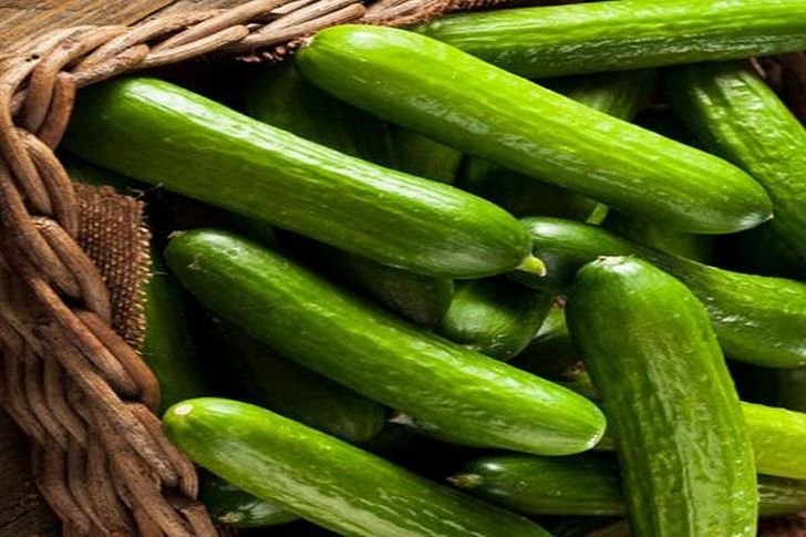 فوائد تجعلك تتناول الخيار يومياً 17 الخيار 1648951869 0