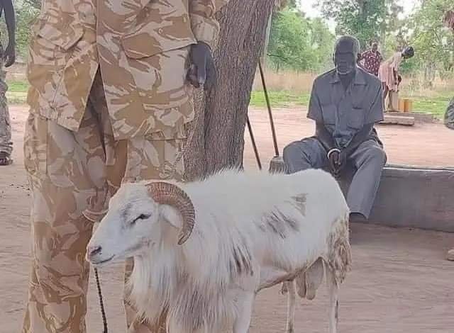 الحكم بالسجن 3 سنوات على خروف قتل امرأة مسنة بجنوب السودان 15 FB IMG 1653290480425