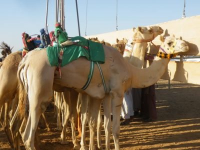 IMG 20220524 WA0009 1