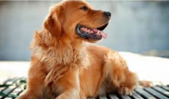 Screenshot 20220514 150645 Gallery