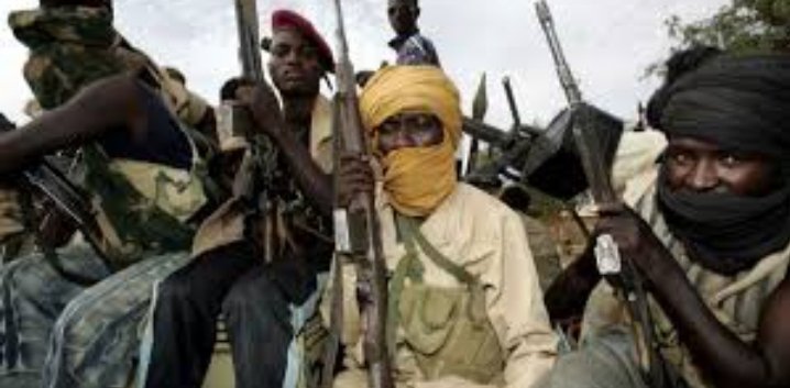 Screenshot 20220520 123841 Gallery