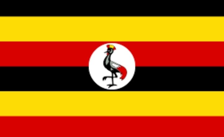 Screenshot 20220525 175930 Gallery