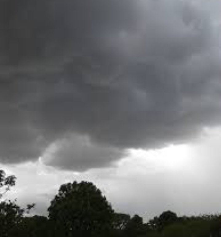 Screenshot 20220527 194532 Gallery