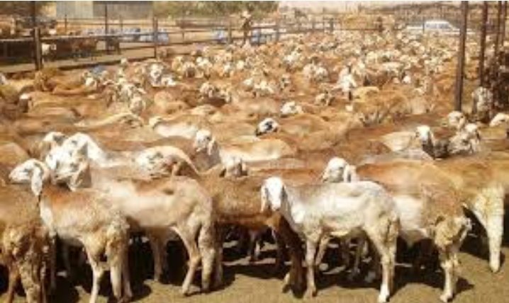 Screenshot 20220531 231244 Gallery