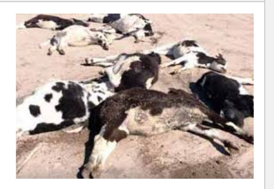 Screenshot ٢٠٢٢٠٥٢٤ ١٠١٨٠٦