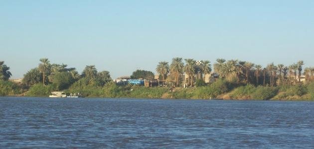 مدينة أبو حمد