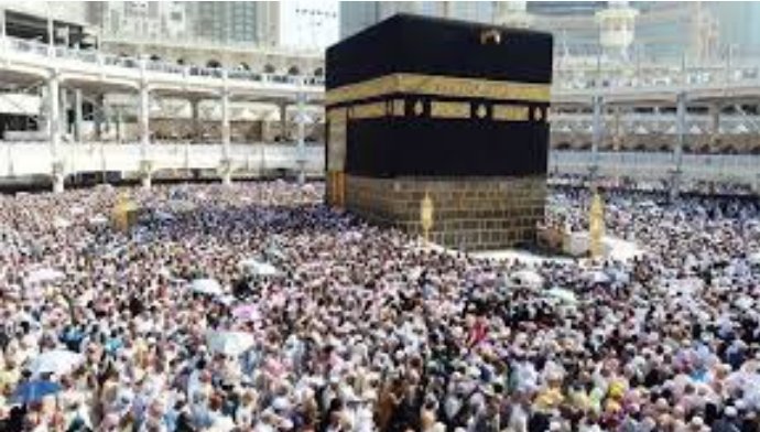 Screenshot 20220603 175728 Gallery