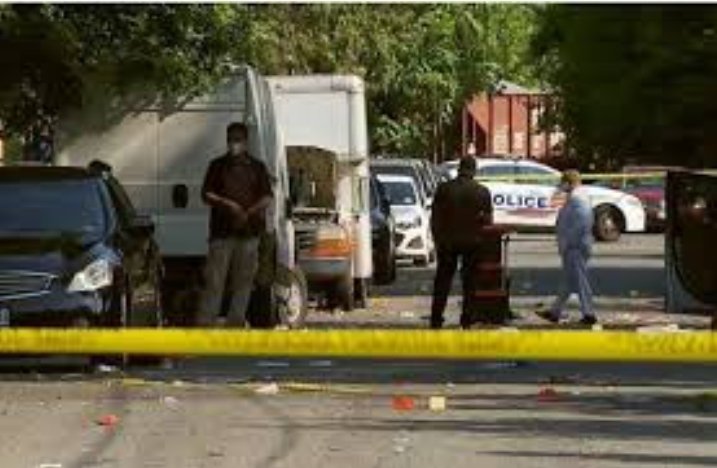 Screenshot 20220623 151958 Gallery