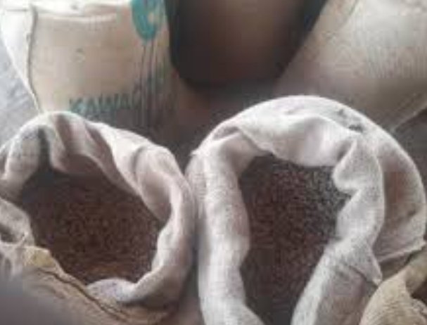 ضبط شبكة إجرامية تعمل على قليّ وسحن نواة البلح بالجزيرة 17 Screenshot 20220625 175652 Gallery