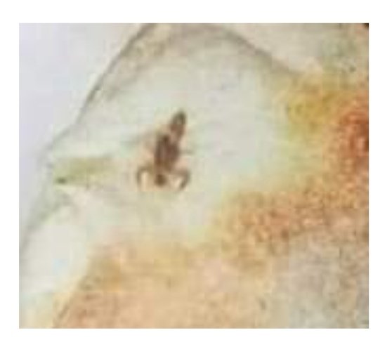 Screenshot ٢٠٢٢٠٦٠٨ ١٢٤٠٤٣