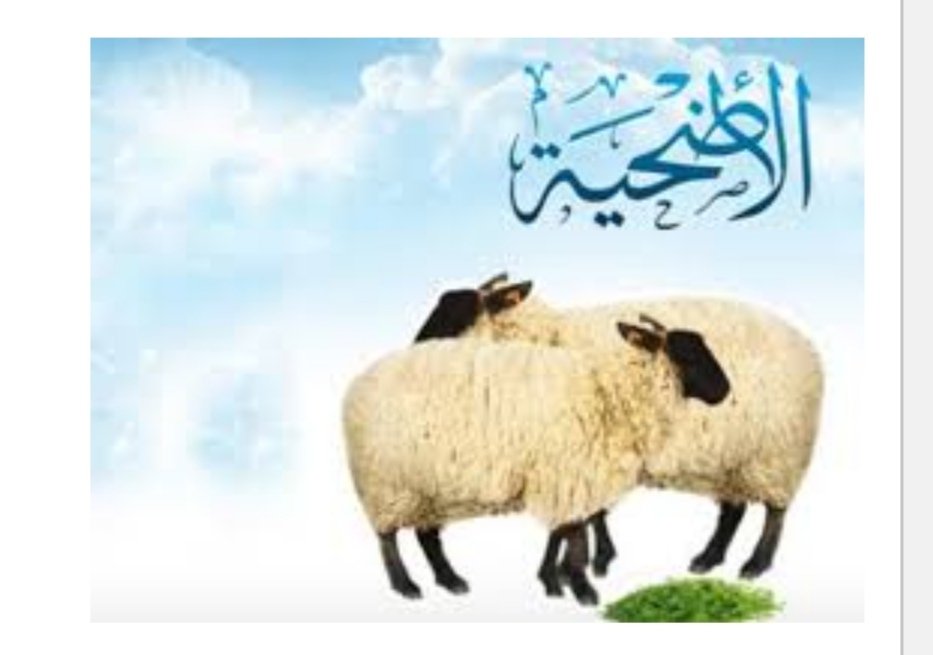 بدء الترتيبات لتوفير خراف الاضاحي للعاملين بالتقسيط 16 Screenshot ٢٠٢٢٠٦٠٨ ١٧١٦٤٧