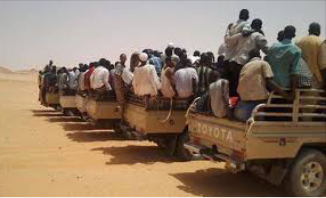 ٢٠٢٢٠٦٢٠ ١٩٥٦٠٦