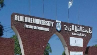 Blue Nile University 390x220 1