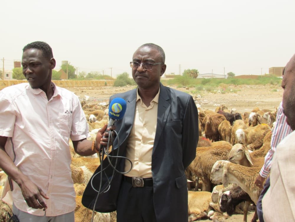 IMG 20220704 WA0005 1