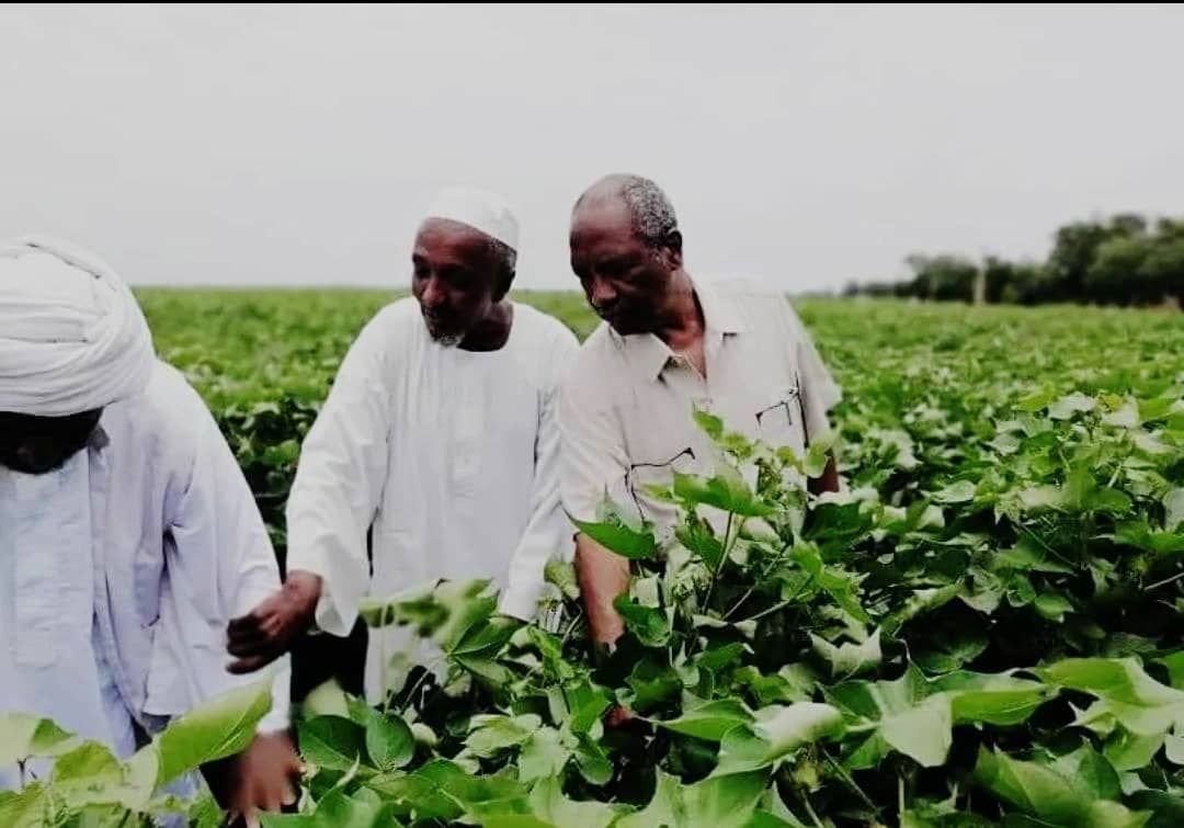 IMG 20220724 111345 920