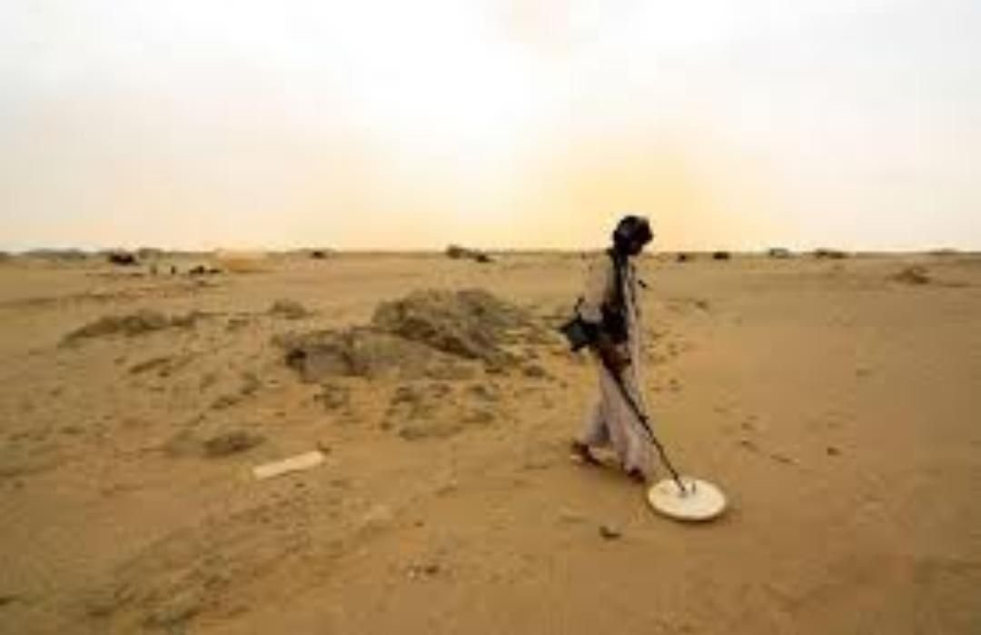 IMG 20220725 115239 300