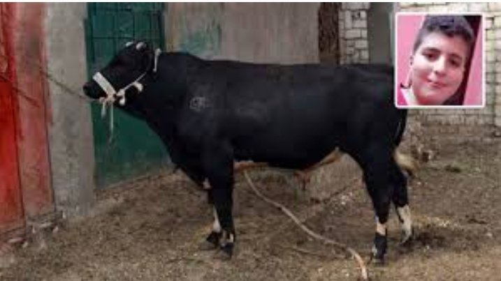 Screenshot 20220710 150548 Gallery