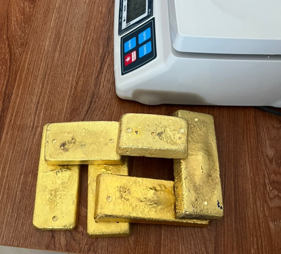 ٢٠٢٢٠٧٠٧ ١١٤٧٣٣