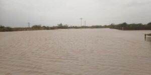 FB IMG 1661275734657