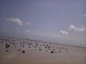 IMG 20220822 WA0009
