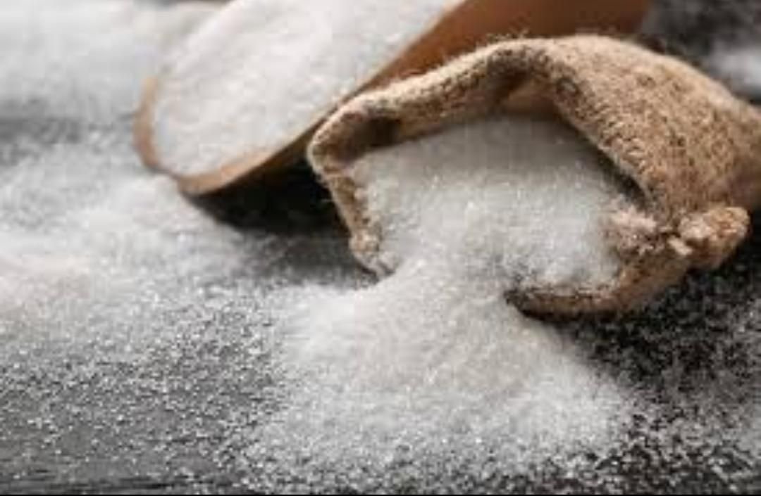 IMG 20220808 094958 641