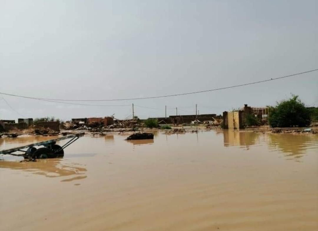 إحصائيات صادمة لمتضرري السيول بولاية نهر النيل 16 IMG 20220811 093422 951