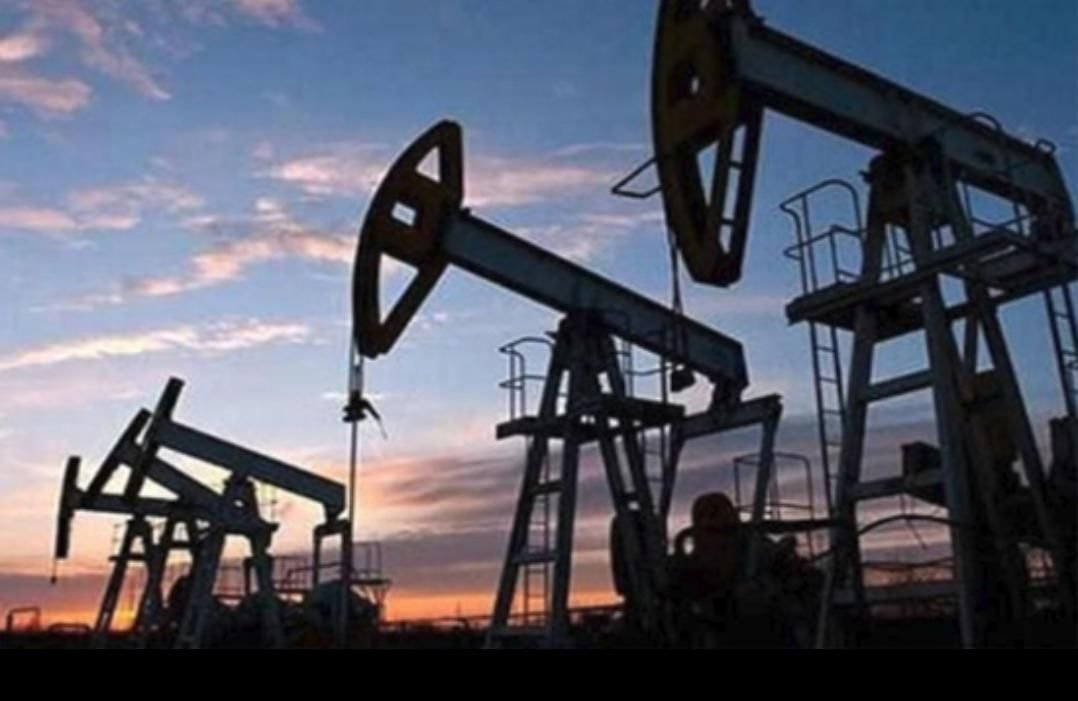 IMG 20220819 130315 876