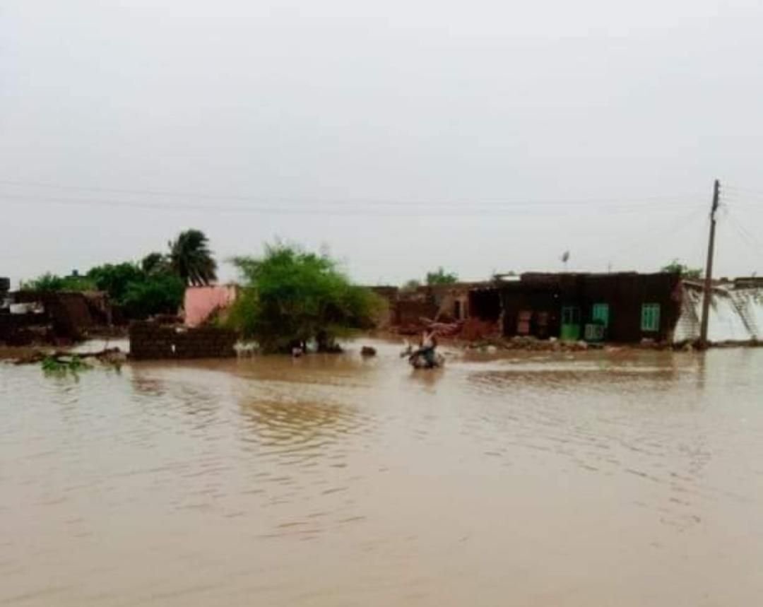 IMG 20220823 144422 243