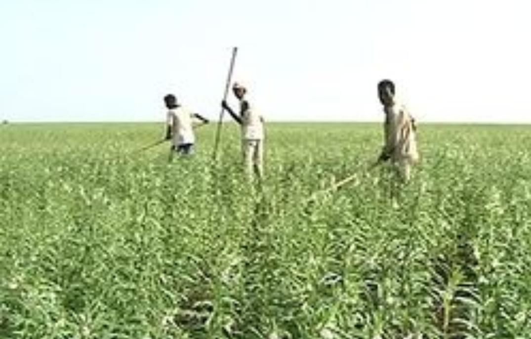 IMG 20220828 122244 971