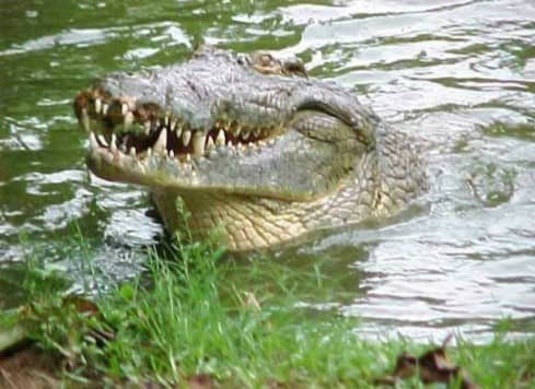 ٢٠٢٢٠٨٢٤ ٢٣١٣٠٨