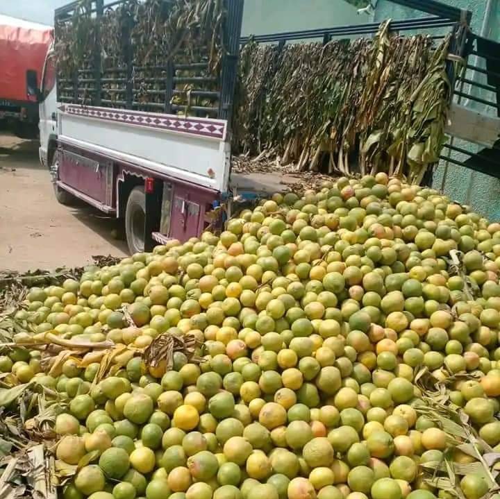 ٢٠٢٢٠٨٢٦ ١٣٠٣٠١