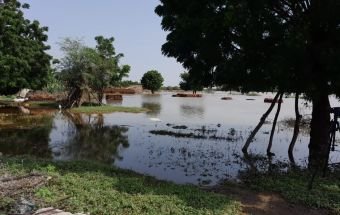 نهر الدندر يهدد المواطنين 15