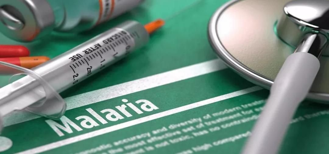 IMG 20220916 161404 903