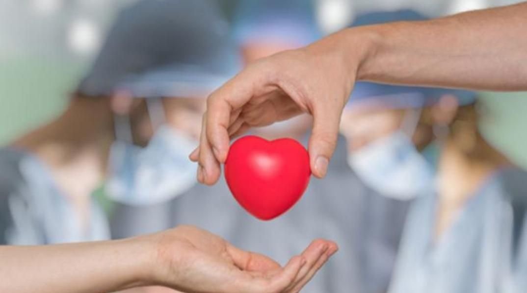 تعرف على أول مصرية توثق توكيلا للتبرع بأعضائها 14 IMG 20220920 131911 466