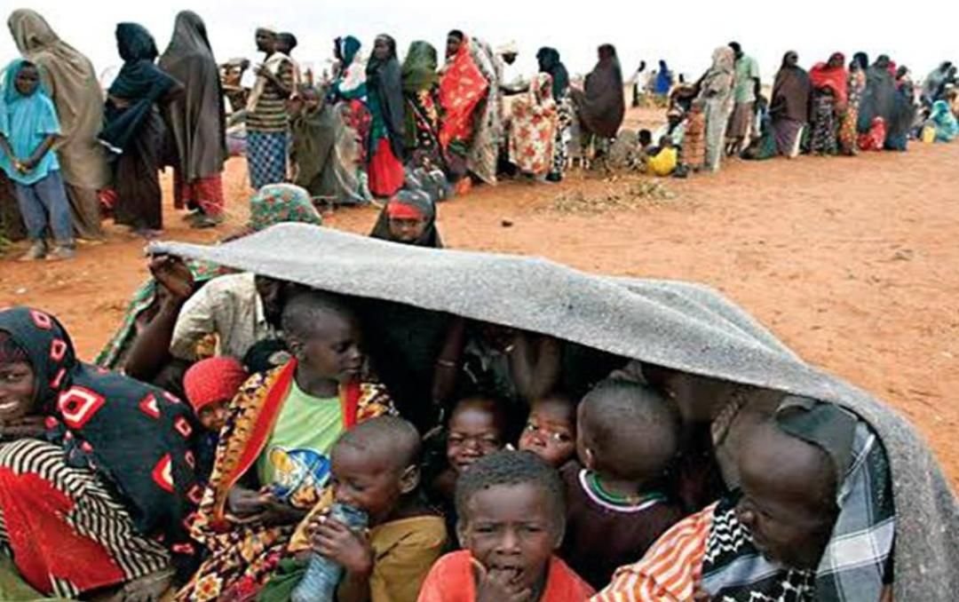 تقرير أممي: 1.14 مليون لاجئ من دول الجوار فروا إلى السودان 11 IMG 20220921 125009 538