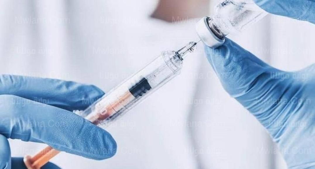 IMG 20220924 114954 184