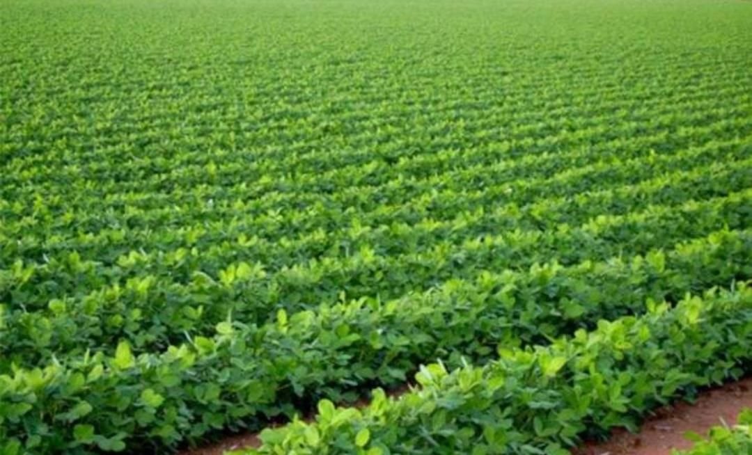 IMG 20220929 144404 791