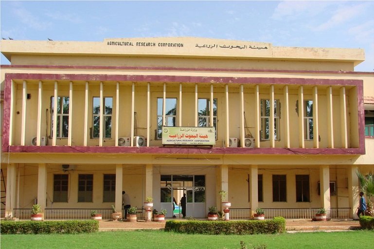 هيئة البحوث الزراعية السودانية