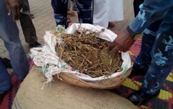 531682 wPsYuNbTTLLy9LNTVbqdHBP5zNXZ20sy