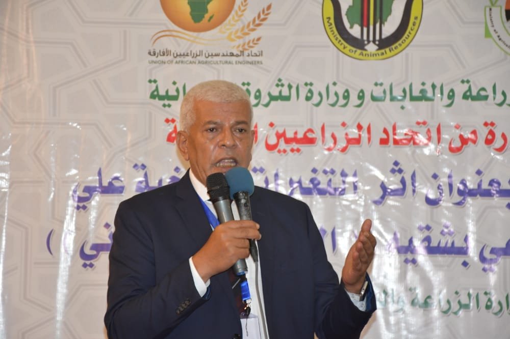 IMG 20221004 WA0022 1