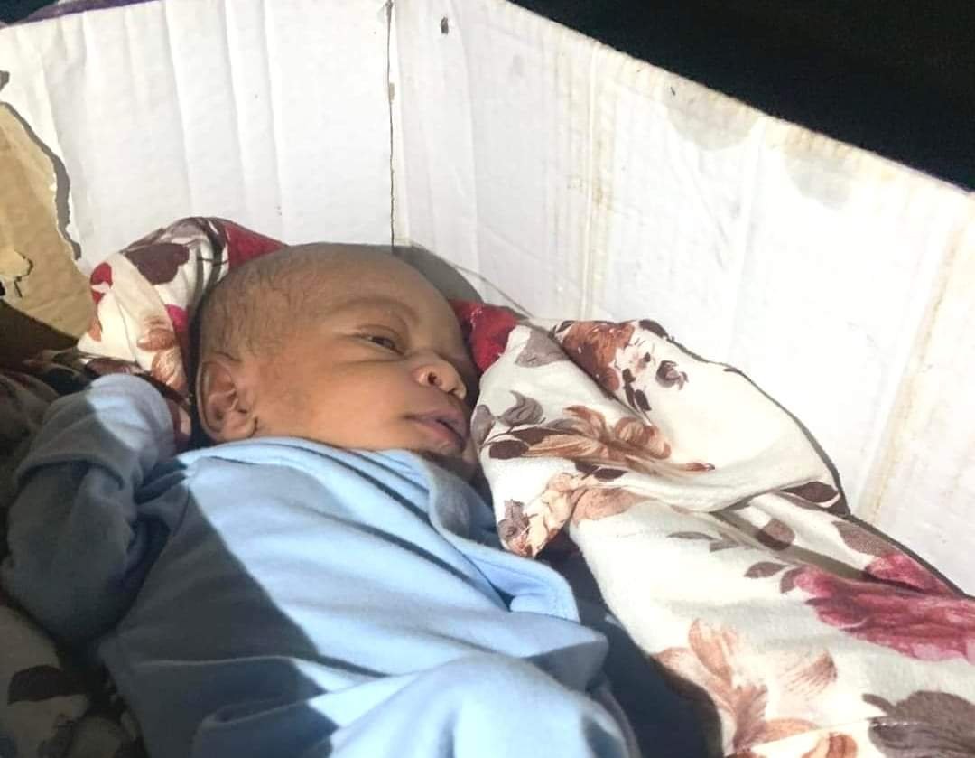 IMG 20221007 WA0002 1