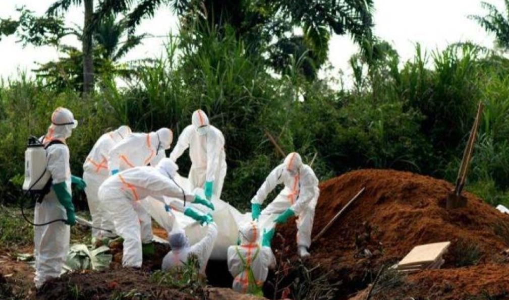 IMG 20221003 173556 907