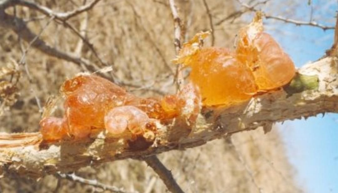 IMG 20221009 091045 127