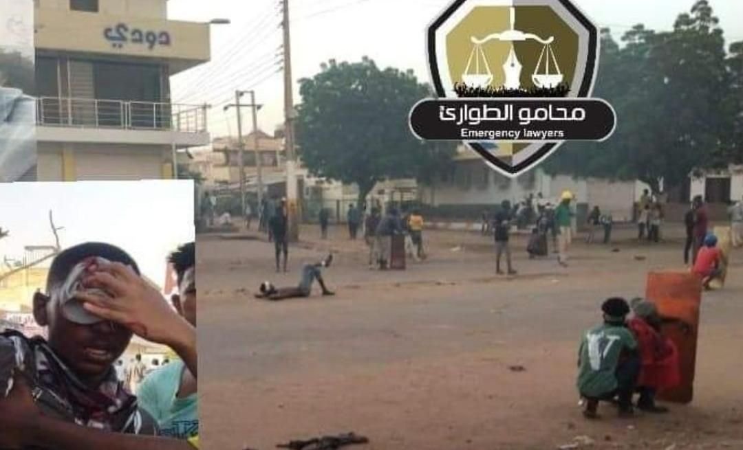 IMG 20221011 175049 941