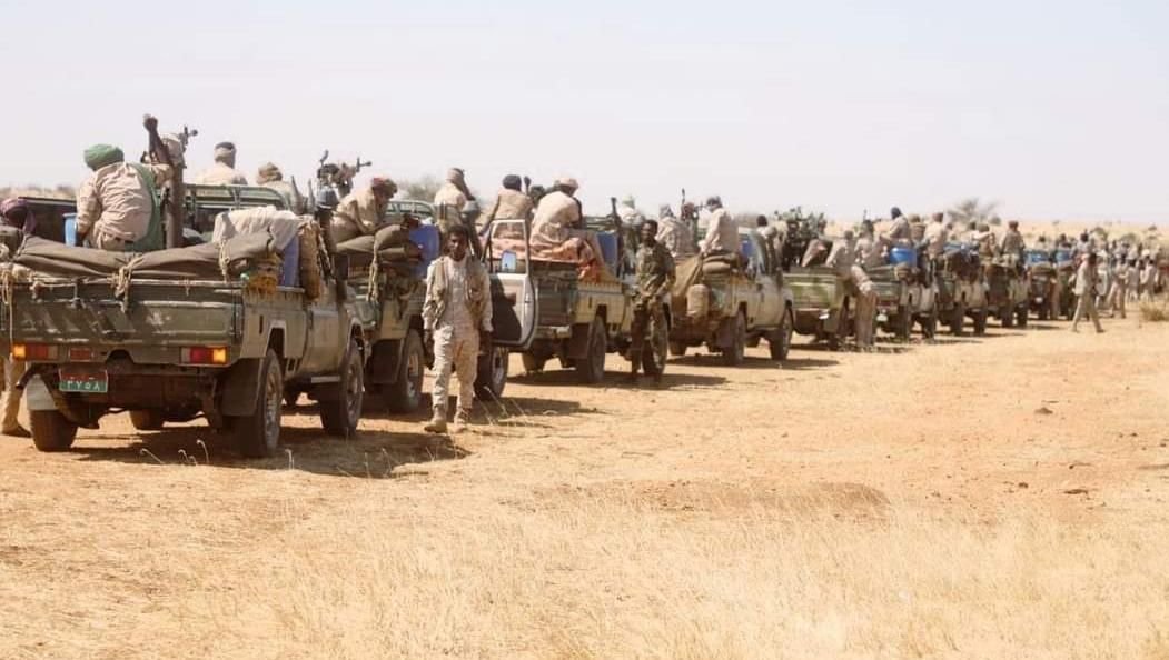 خبير يثمن جهود الدعم السريع في حراسة وتأمين عمليات الحصاد بدارفور 16 IMG 20221018 071957 045