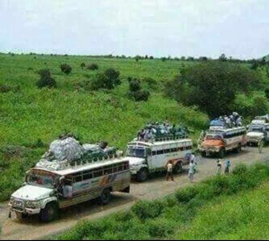 IMG 20221018 075622 816