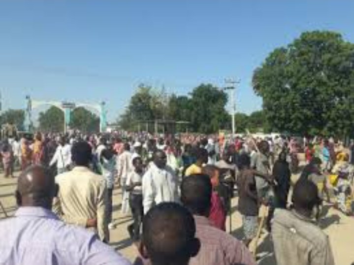 Screenshot 20221028 151330 Gallery